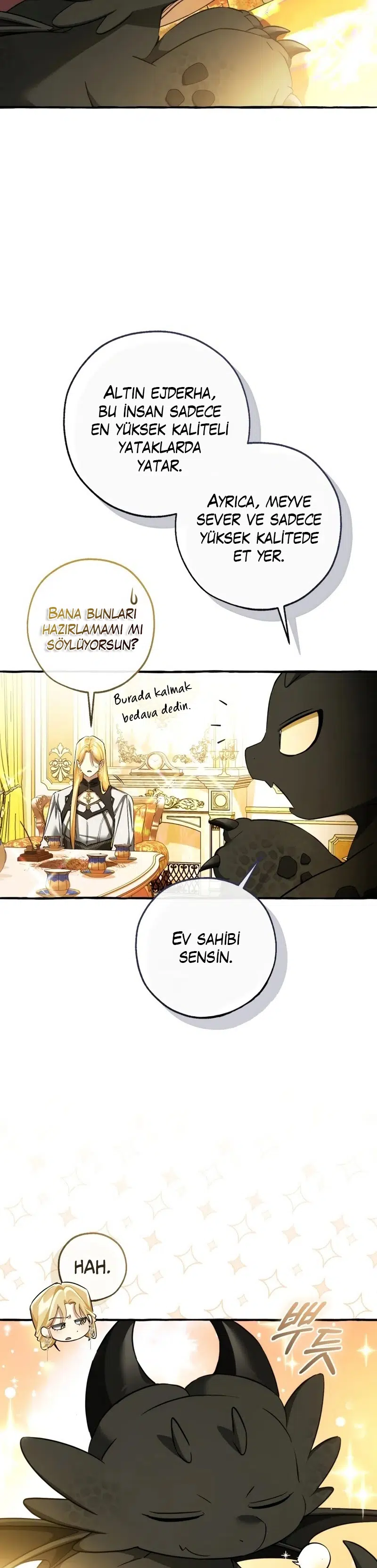 Soylu Ailenin işe Yaramaz Oğlu - Bölüm 146 Sayfa 12