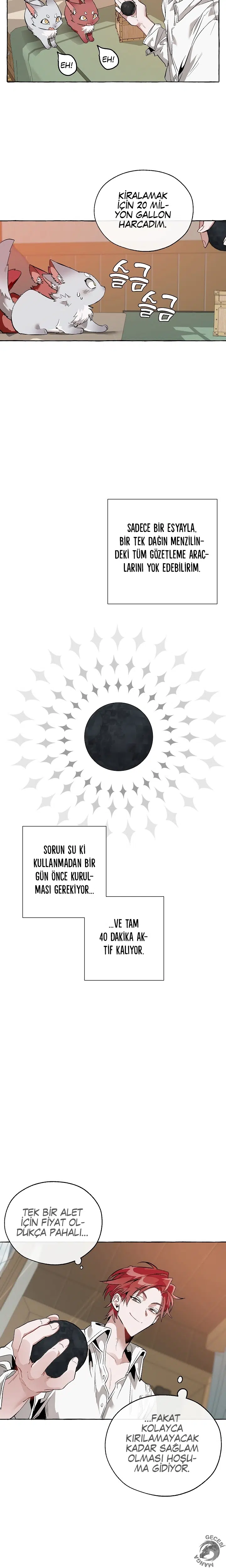 Soylu Ailenin işe Yaramaz Oğlu - Bölüm 16 Sayfa 13