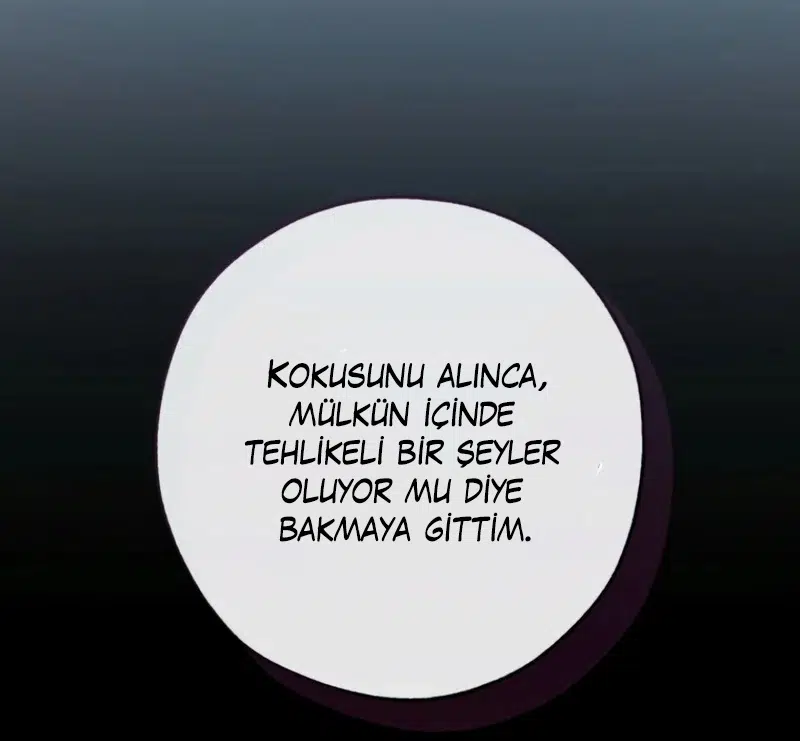 Soylu Ailenin işe Yaramaz Oğlu - Bölüm 186 Sayfa 35