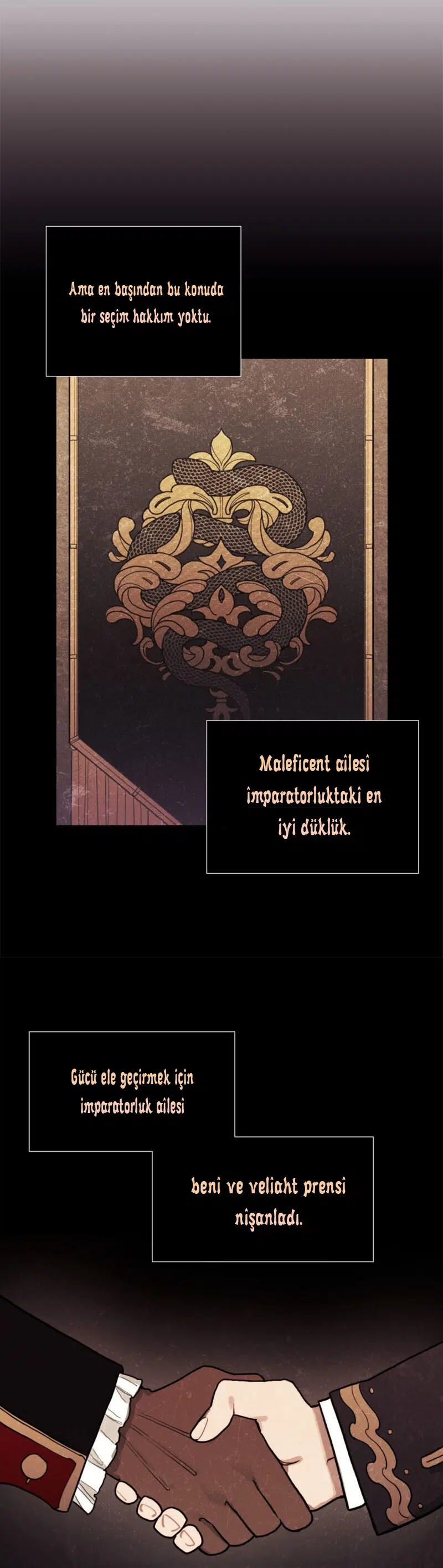 Kaderindeki Kadın Ben Değilim - Bölüm 1 Sayfa 27