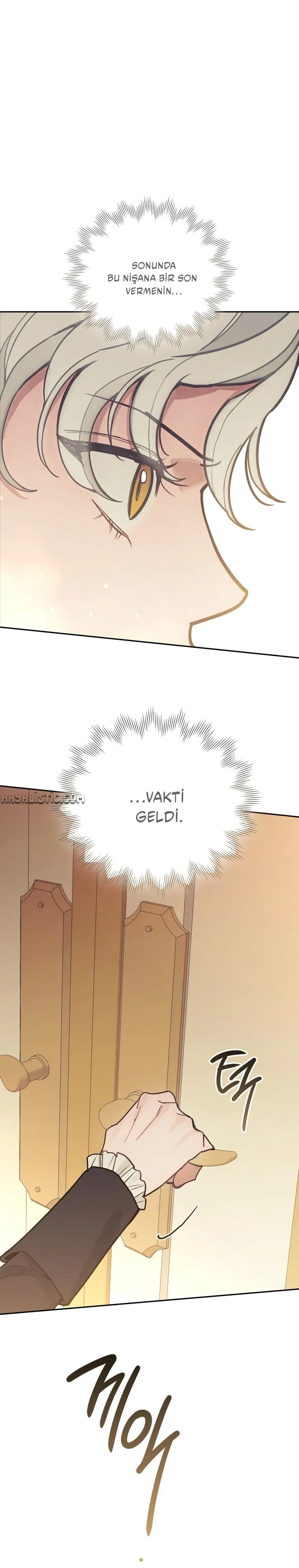Kaderindeki Kadın Ben Değilim - Bölüm 67 Sayfa 29