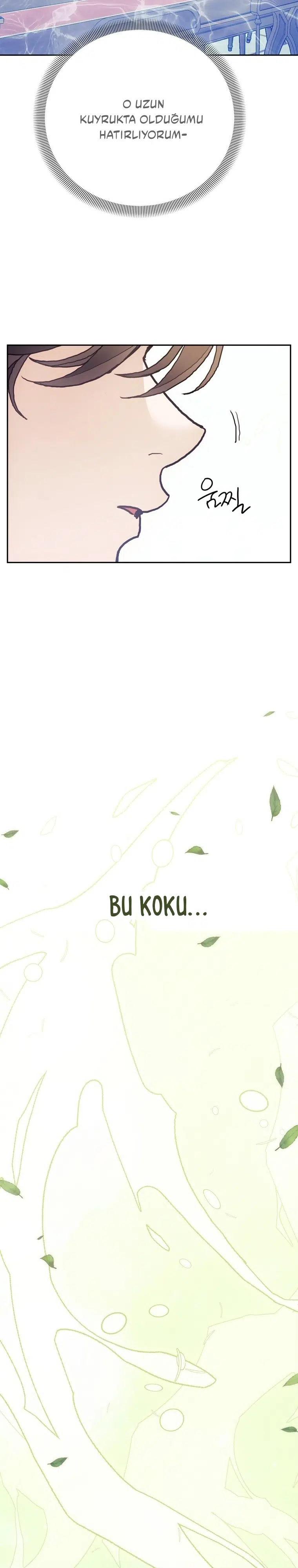 Kaderindeki Kadın Ben Değilim - Bölüm 75 Sayfa 32