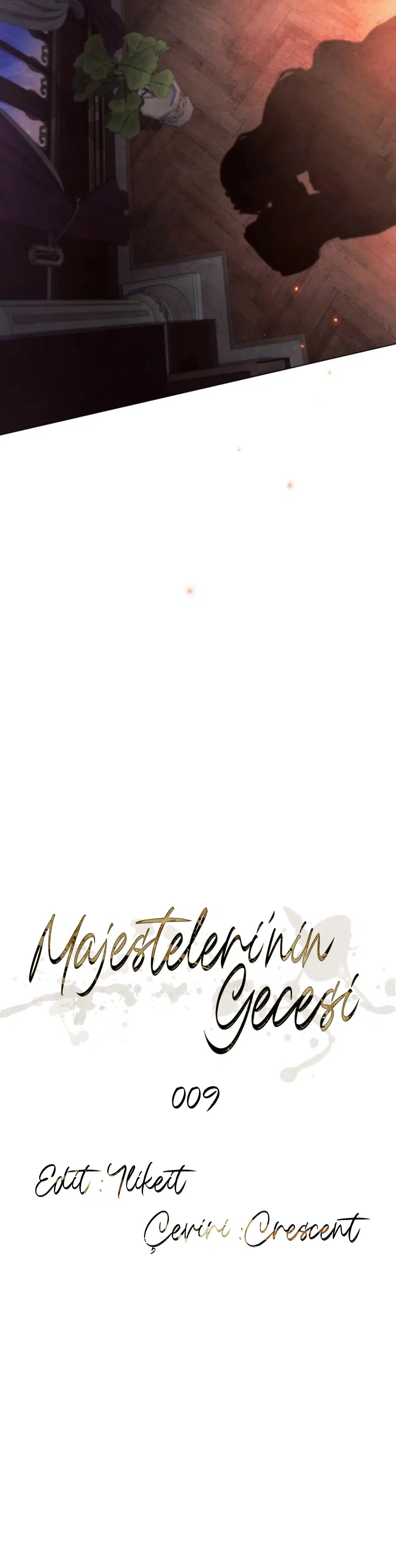Majestelerinin Gecesi - Bölüm 9 Sayfa 9
