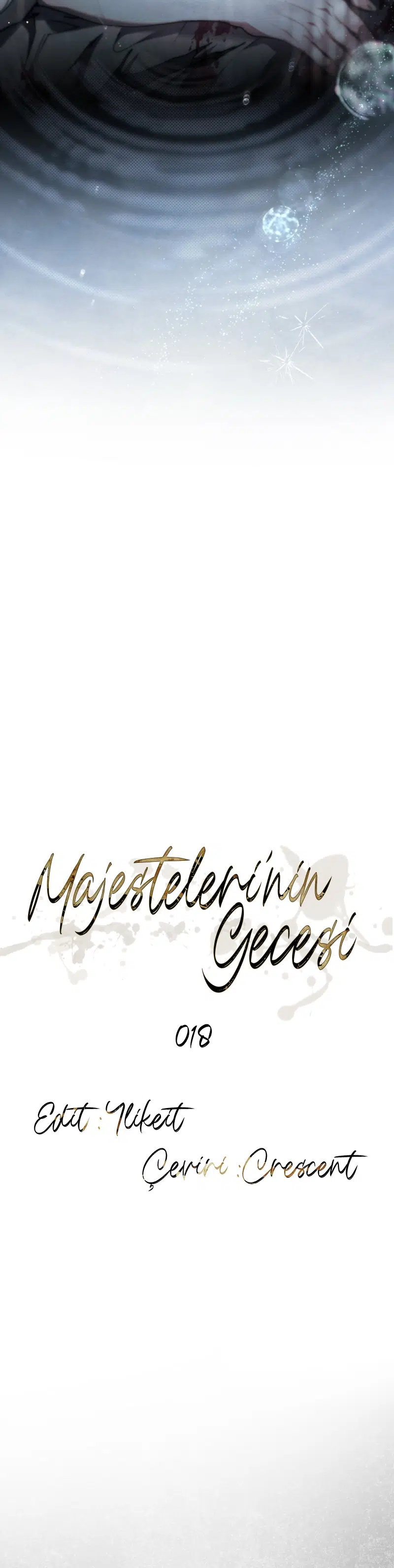 Majestelerinin Gecesi - Bölüm 18 Sayfa 19
