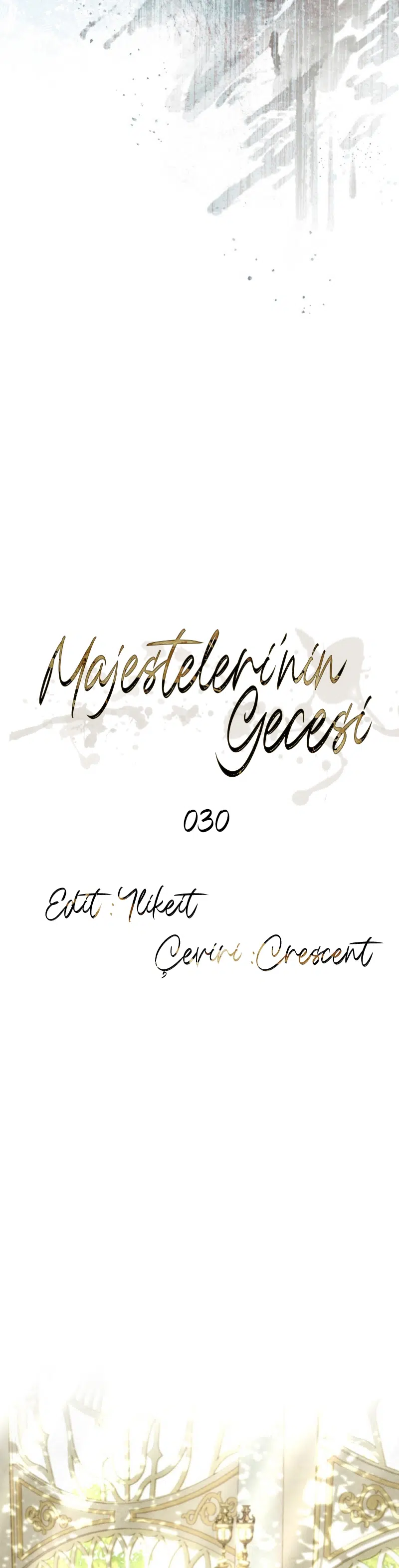Majestelerinin Gecesi - Bölüm 30 Sayfa 17