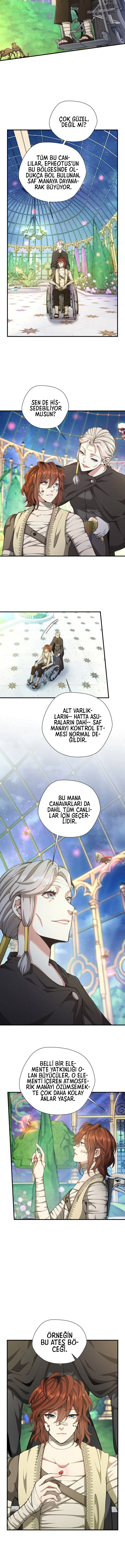 Nihayetin Ardındaki Başlangıç - Bölüm 158 Sayfa 10