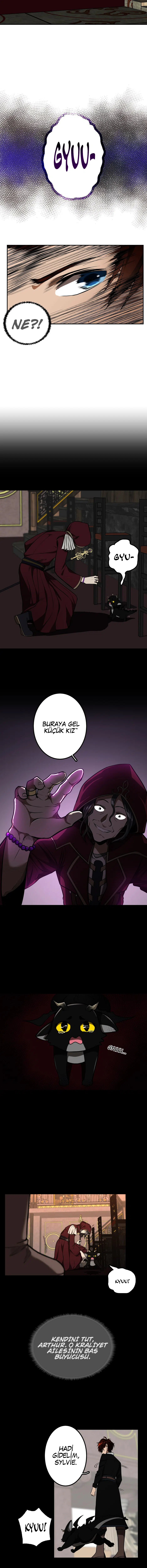 Nihayetin Ardındaki Başlangıç - Bölüm 41 Sayfa 12