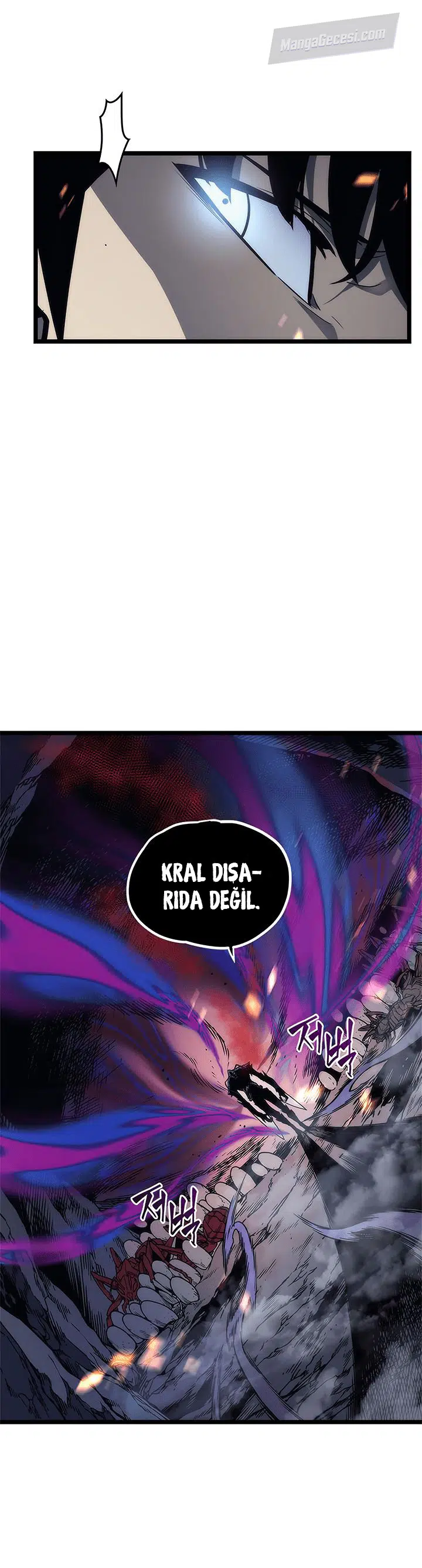Yalnız Yükseliş - Bölüm 101 Sayfa 29