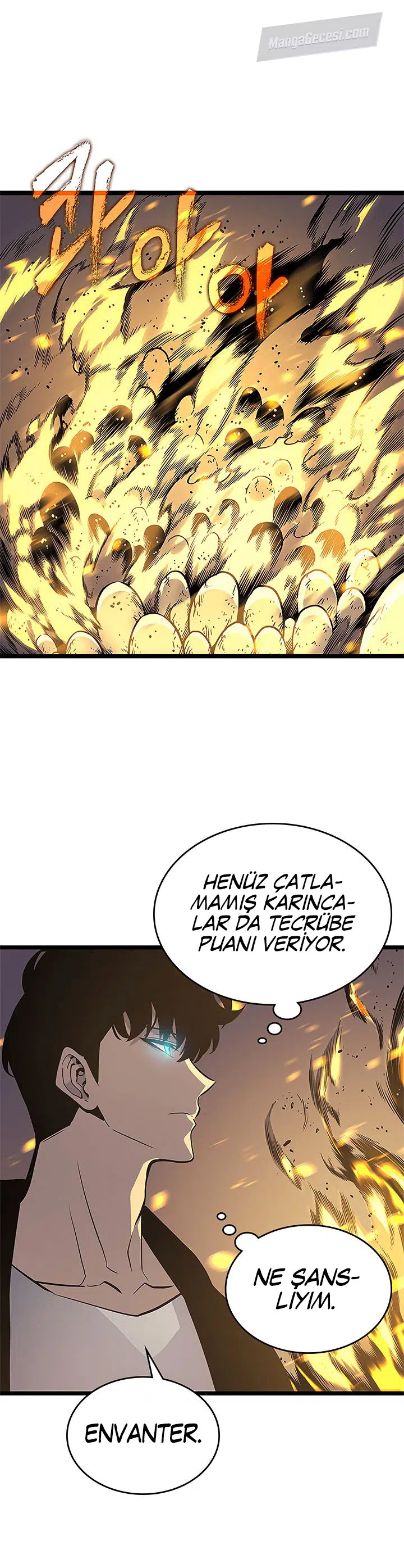 Yalnız Yükseliş - Bölüm 105 Sayfa 26