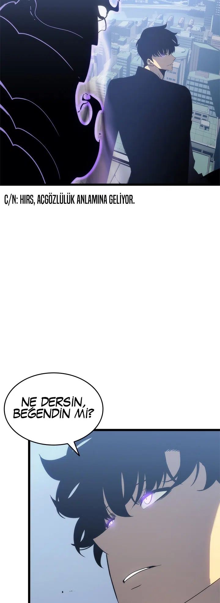 Yalnız Yükseliş - Bölüm 147 Sayfa 29
