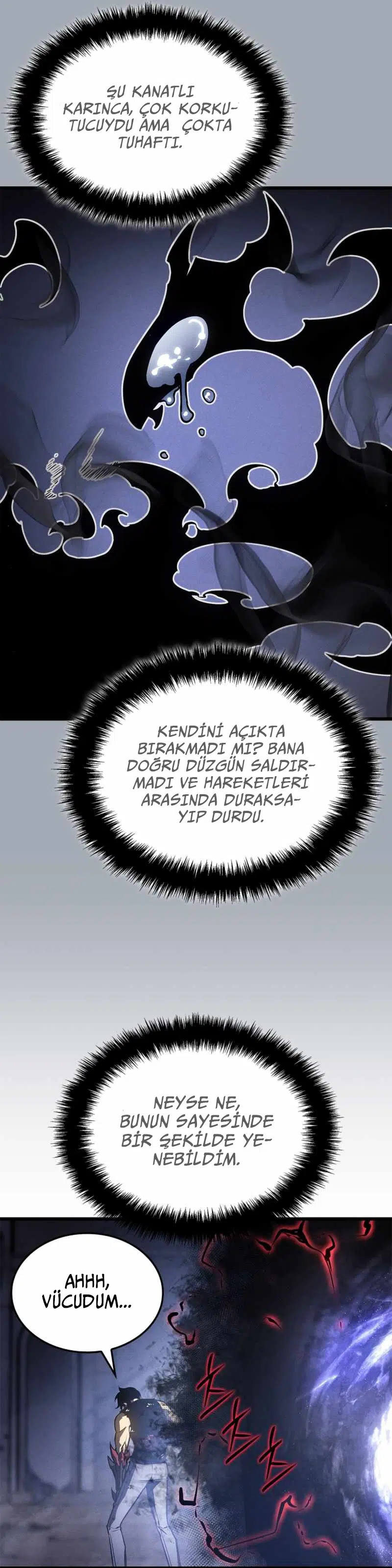 Yalnız Yükseliş - Bölüm 197 Sayfa 12