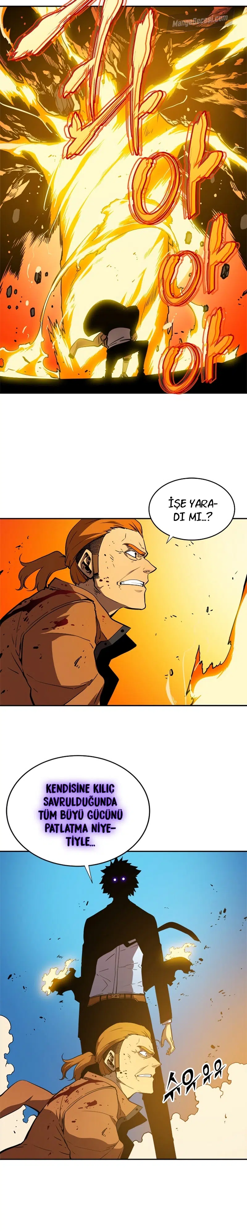 Yalnız Yükseliş - Bölüm 31 Sayfa 17