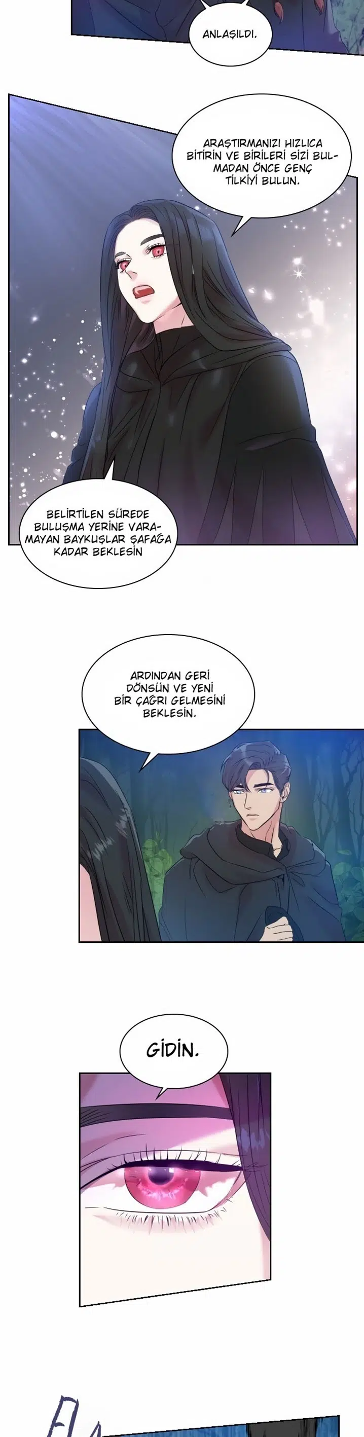 Baykuşların Lideri - Bölüm 20 Sayfa 19