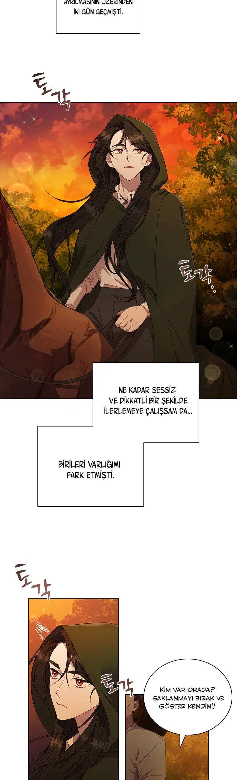 Baykuşların Lideri - Bölüm 38 Sayfa 5