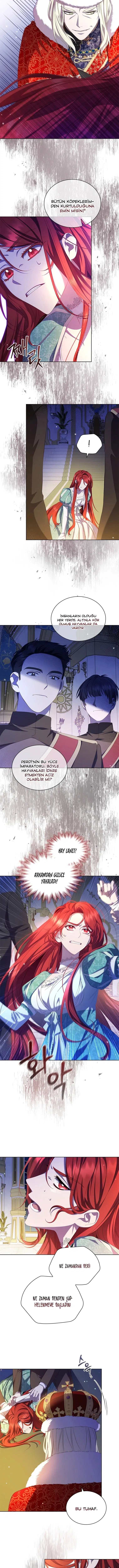 Baykuşların Lideri - Bölüm 73 Sayfa 9
