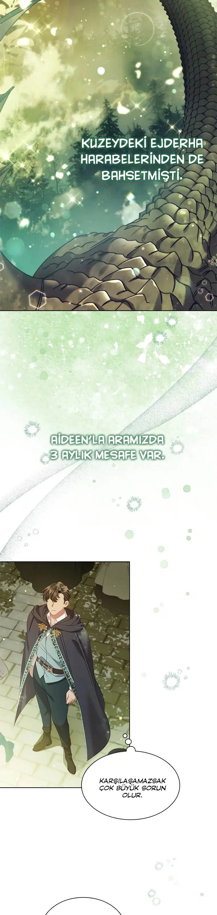 Baykuşların Lideri - Bölüm 87 Sayfa 26