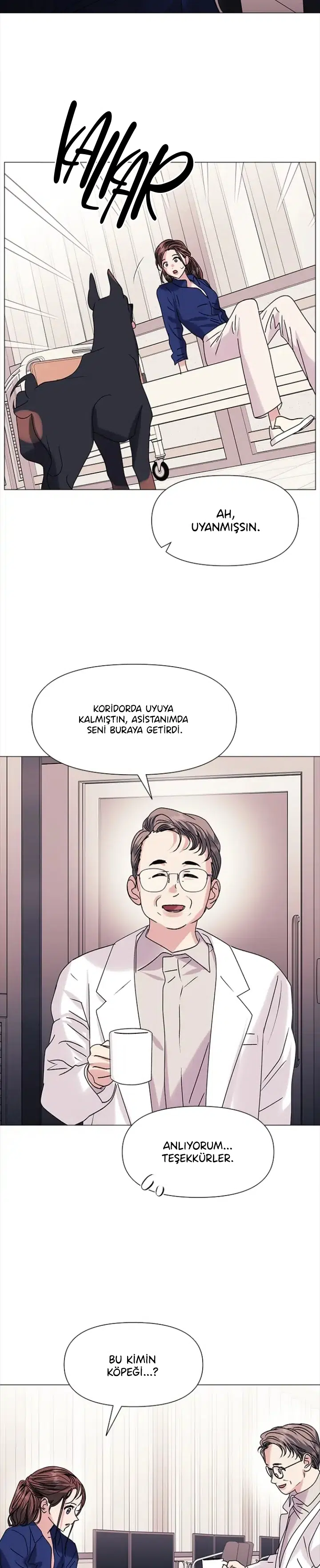 Şifa Gibi Aşk - Bölüm 47 Sayfa 3
