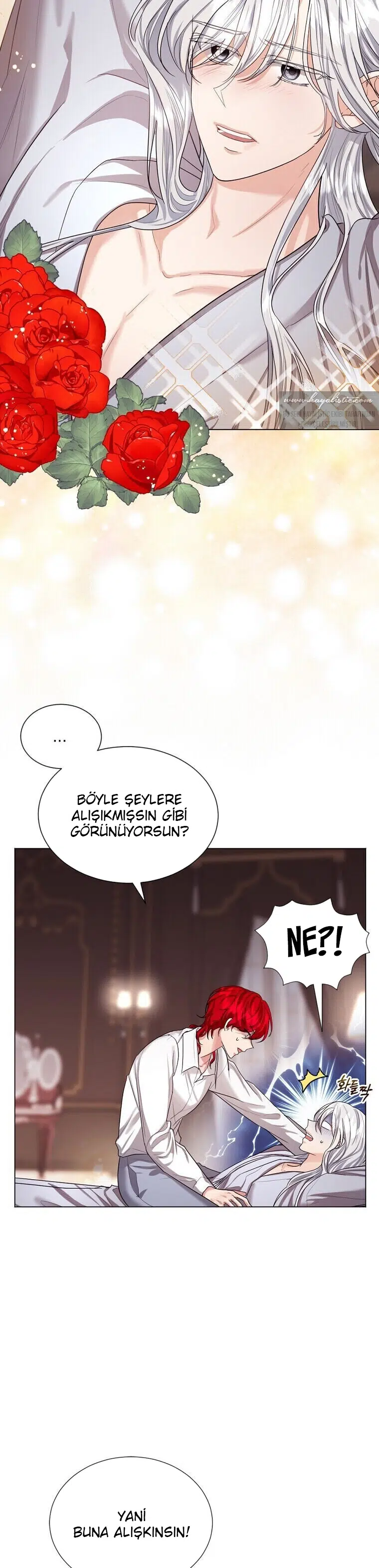 Sözleşmeli Düşes - Bölüm 13 Sayfa 15