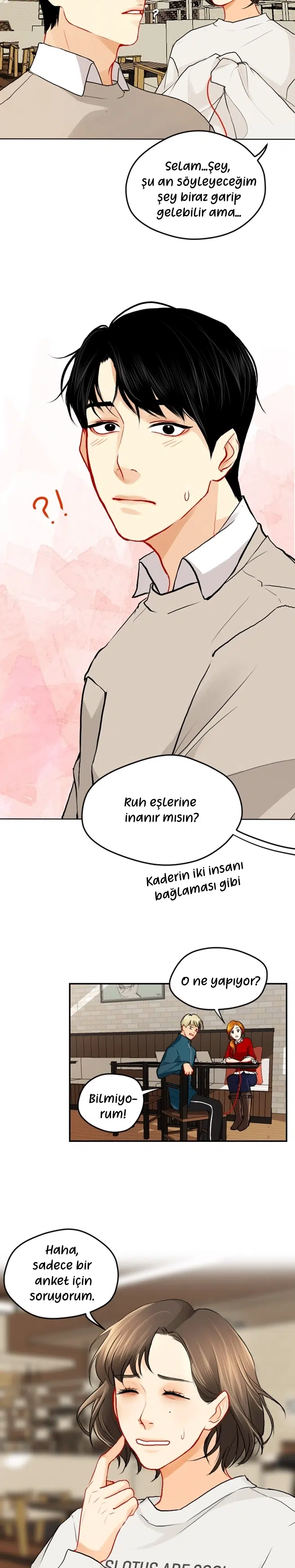 Aşk Düğümü - Bölüm 2 Sayfa 16