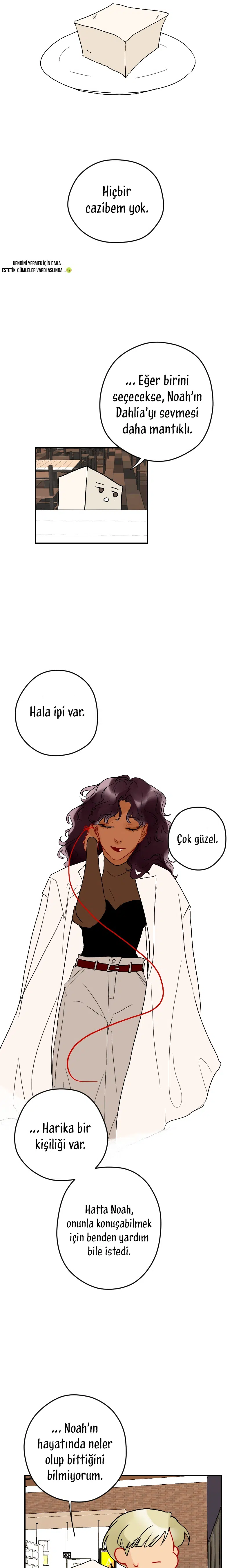 Aşk Düğümü - Bölüm 117 Sayfa 17