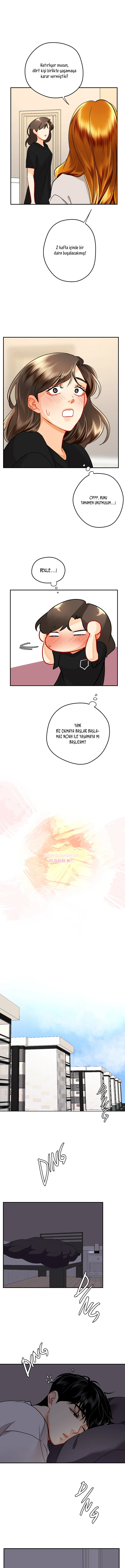 Aşk Düğümü - Bölüm 133 Sayfa 2