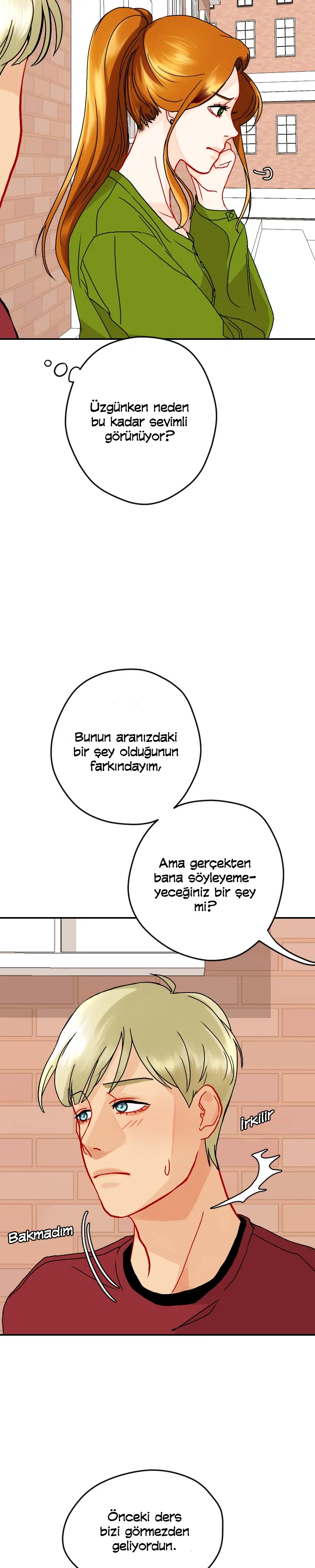 Aşk Düğümü - Bölüm 17 Sayfa 5