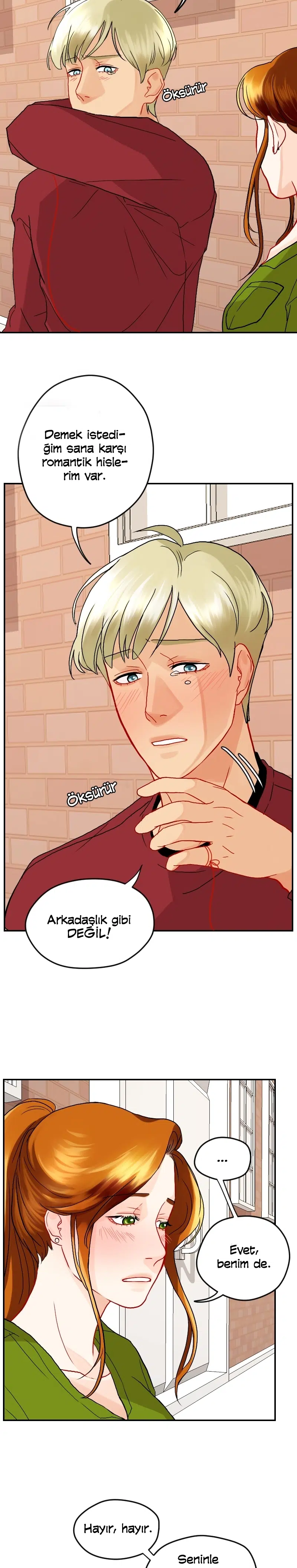 Aşk Düğümü - Bölüm 17 Sayfa 14