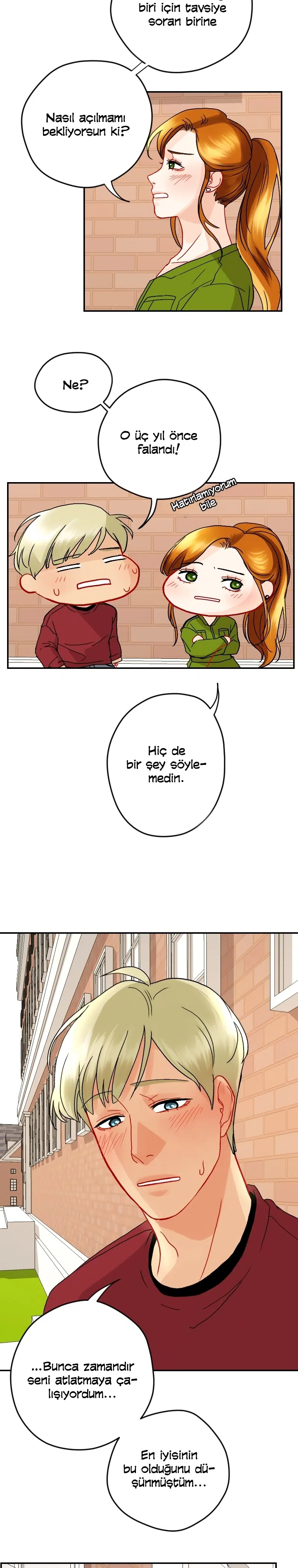Aşk Düğümü - Bölüm 17 Sayfa 17
