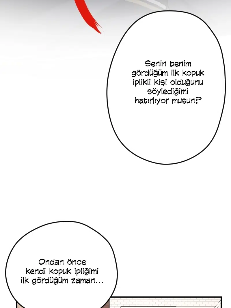 Aşk Düğümü - Bölüm 35 Sayfa 46