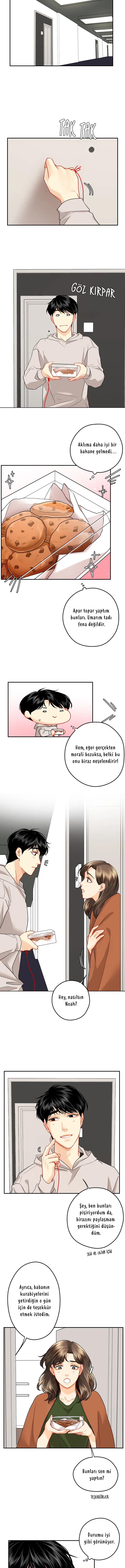 Aşk Düğümü - Bölüm 85 Sayfa 5