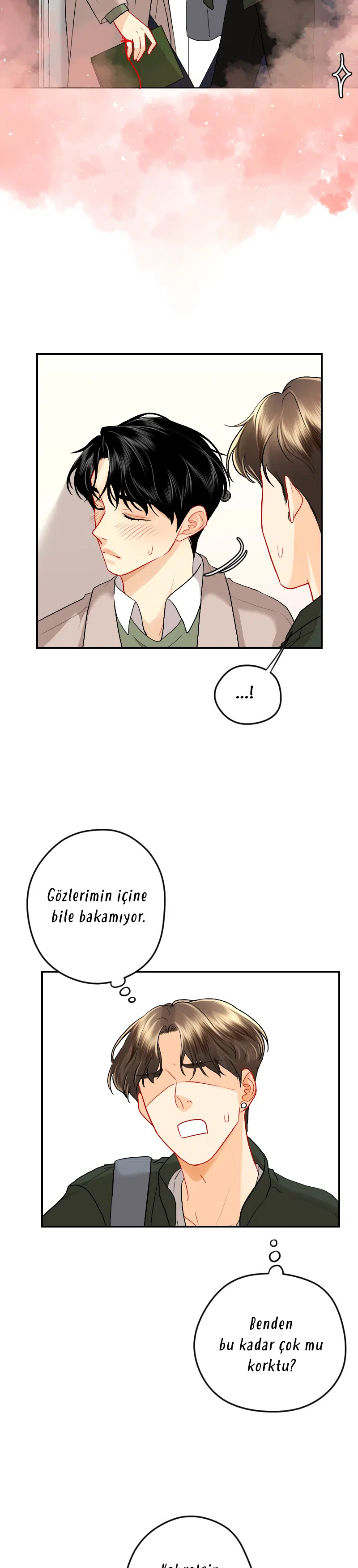 Aşk Düğümü - Bölüm 95 Sayfa 9