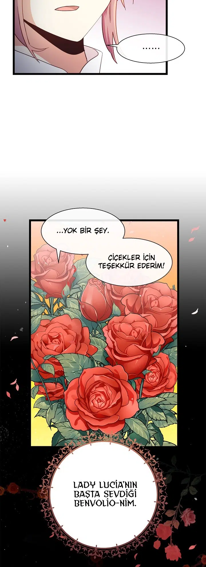 Romeo, Neredesin? - Bölüm 25 Sayfa 29
