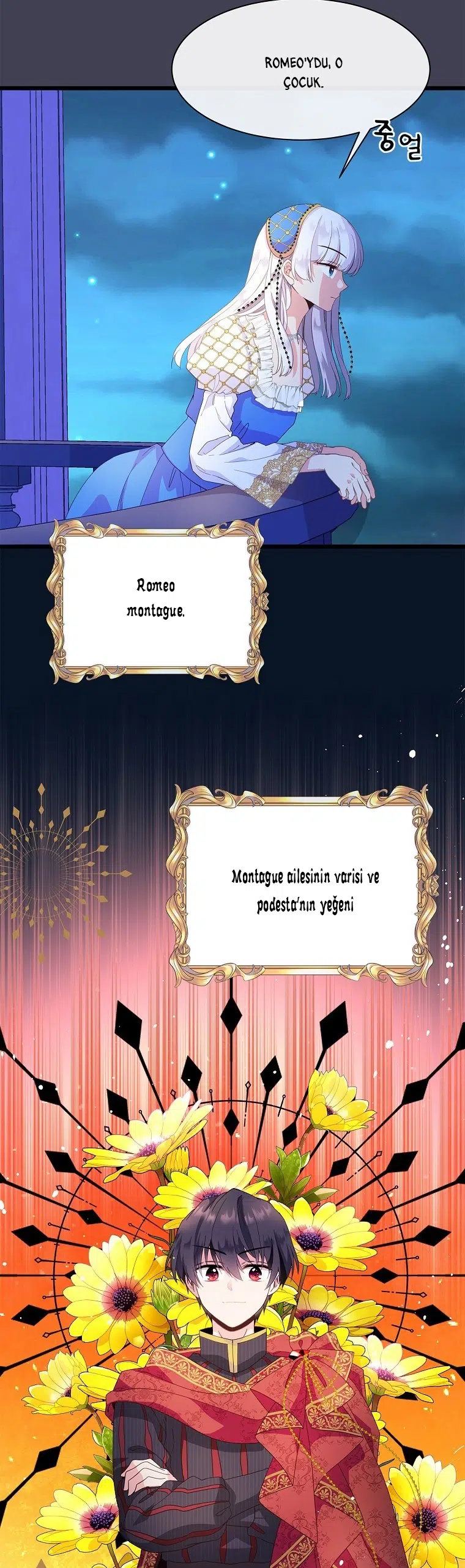 Romeo, Neredesin? - Bölüm 66 Sayfa 29