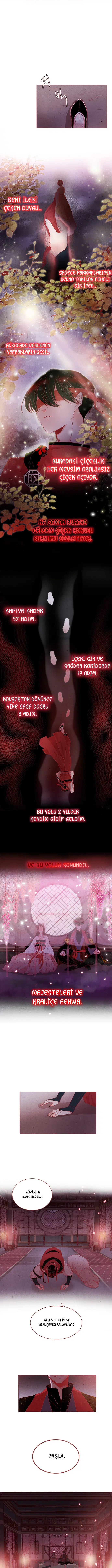 Tehlikeli Güzellik - Bölüm 2 Sayfa 7