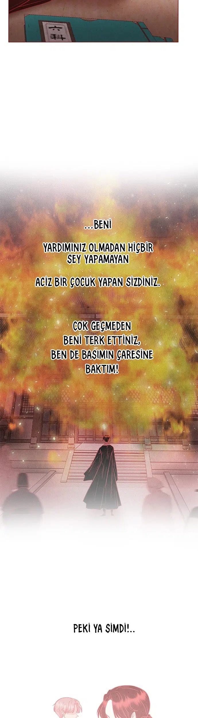Tehlikeli Güzellik - Bölüm 35 Sayfa 7