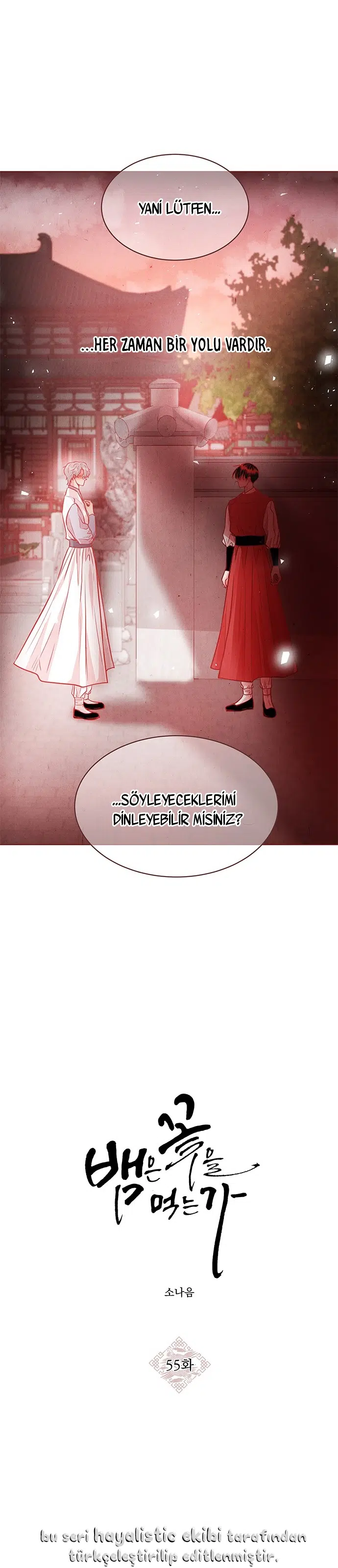 Tehlikeli Güzellik - Bölüm 55 Sayfa 15