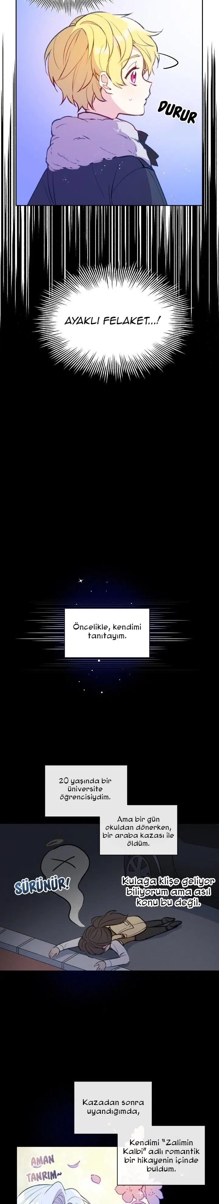 Bir Tiran Nasıl Büyütülür - Bölüm 1 Sayfa 7