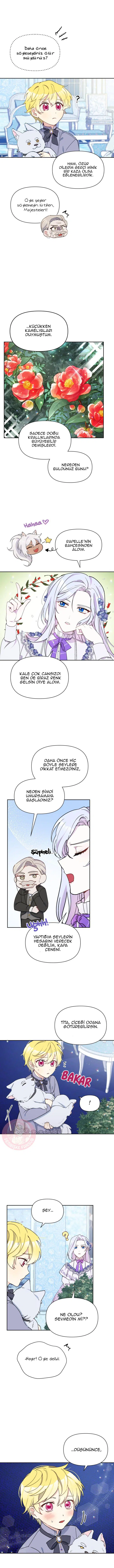 Bir Tiran Nasıl Büyütülür - Bölüm 17 Sayfa 3