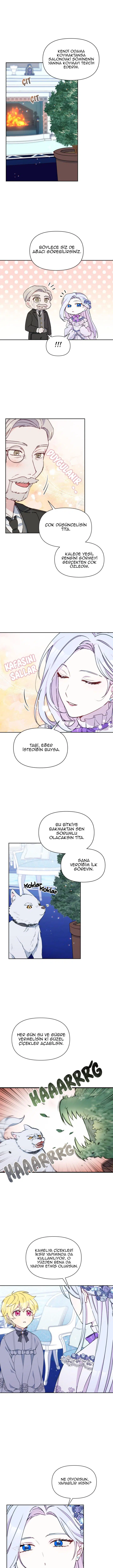 Bir Tiran Nasıl Büyütülür - Bölüm 17 Sayfa 4