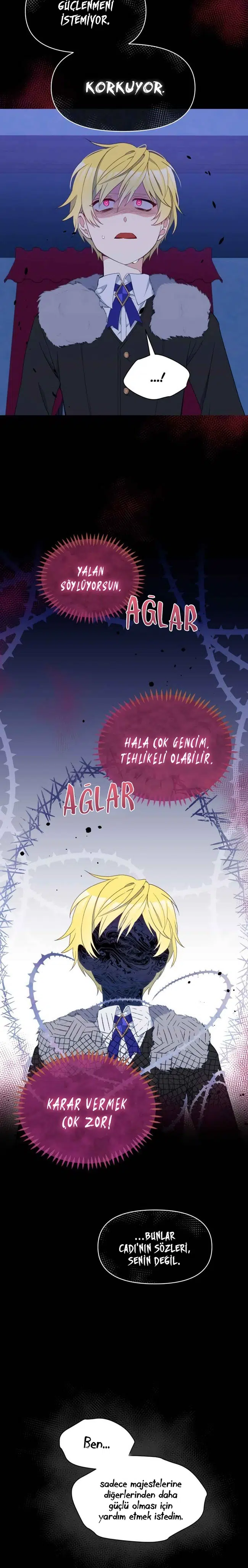 Bir Tiran Nasıl Büyütülür - Bölüm 23 Sayfa 11