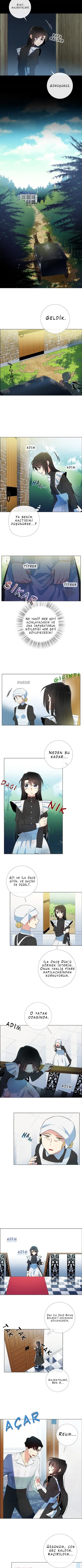 Vampir ve Hizmetçi - Bölüm 10 Sayfa 2