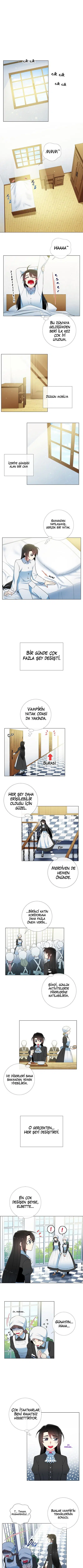 Vampir ve Hizmetçi - Bölüm 16 Sayfa 1