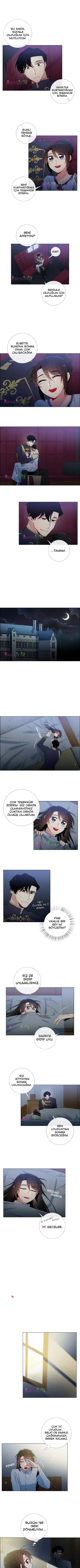 Vampir ve Hizmetçi - Bölüm 31 Sayfa 3