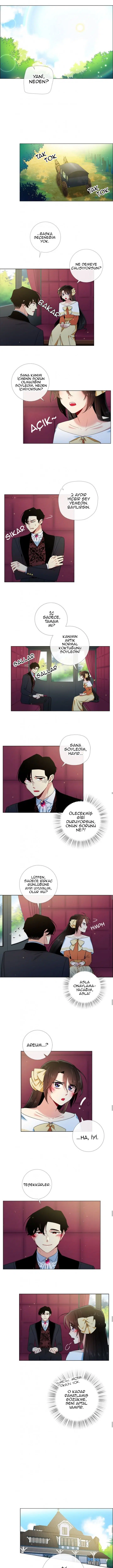 Vampir ve Hizmetçi - Bölüm 52 Sayfa 3