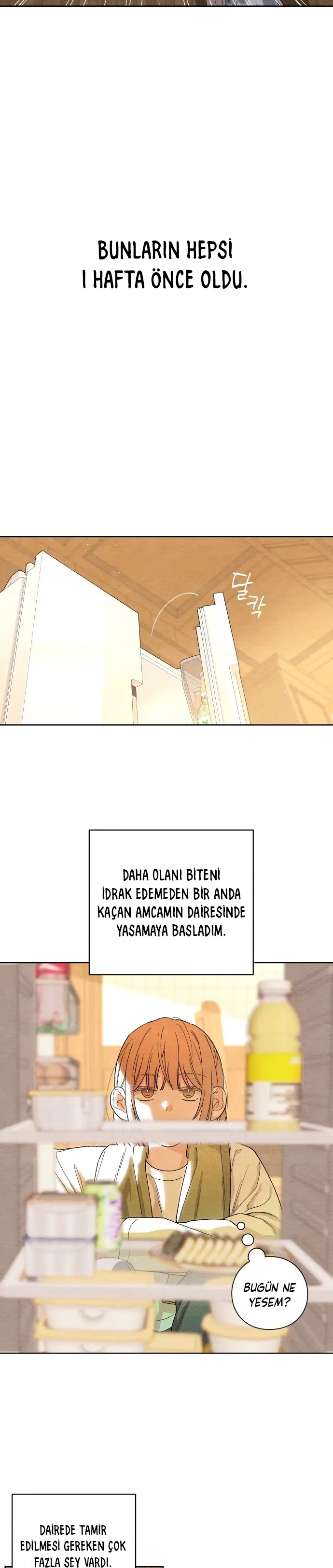 Gençlik Mucizesi - Bölüm 1 Sayfa 8