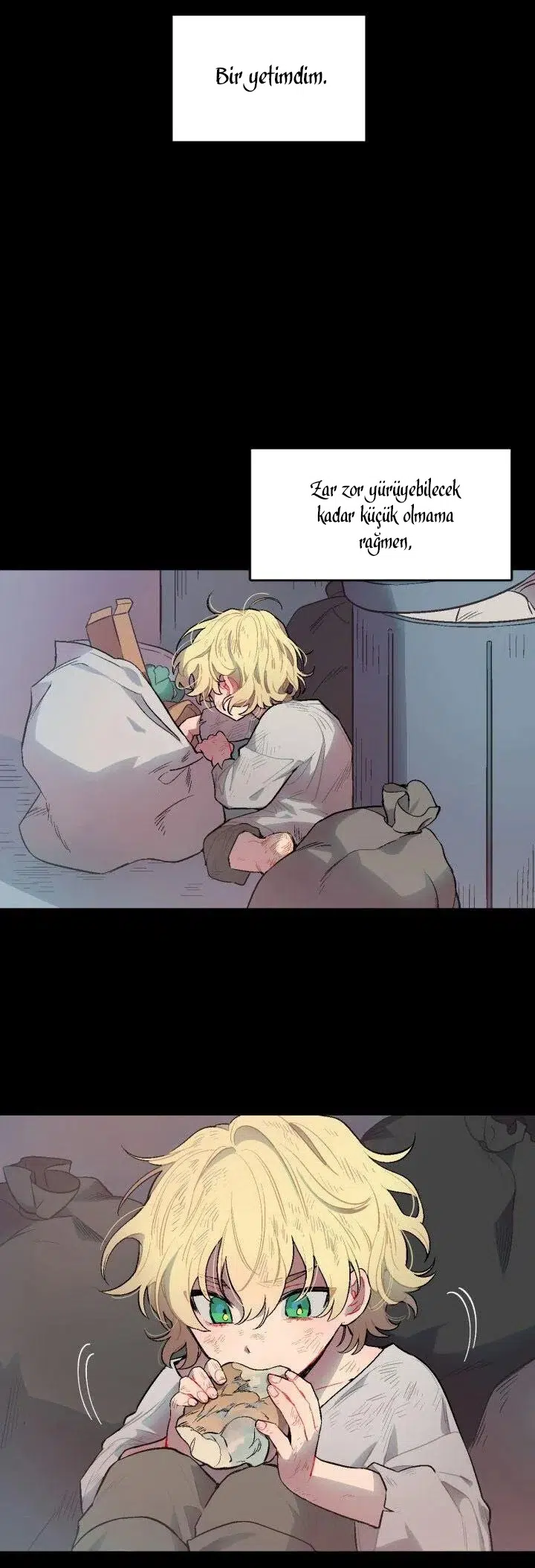 Bu Bebek Senin Değil! - Bölüm 0 Sayfa 13