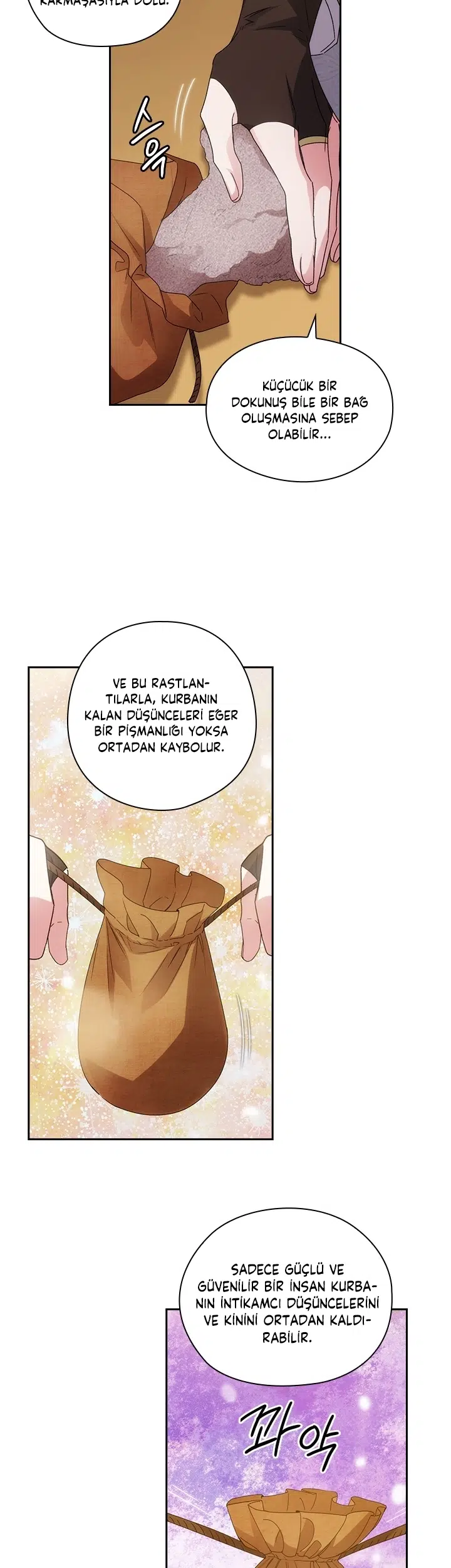 Adonis’in Hatıraları - Bölüm 207 Sayfa 11