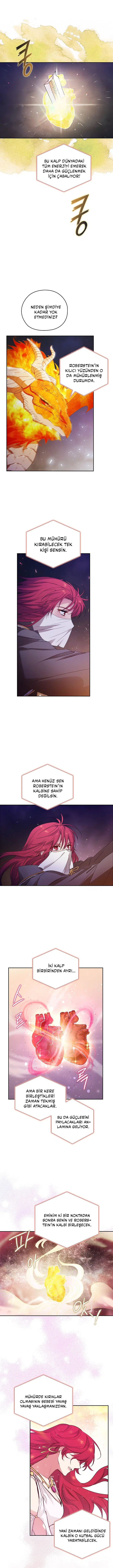 Adonis’in Hatıraları - Bölüm 238 Sayfa 19