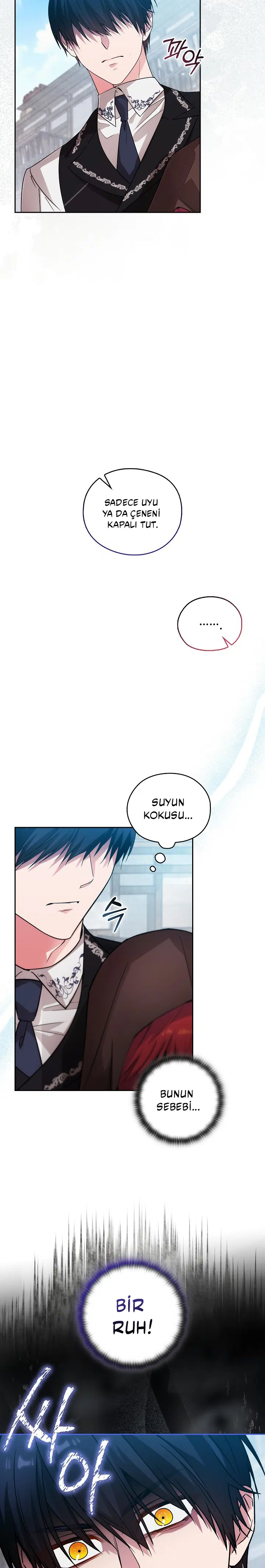 Adonis’in Hatıraları - Bölüm 254 Sayfa 29