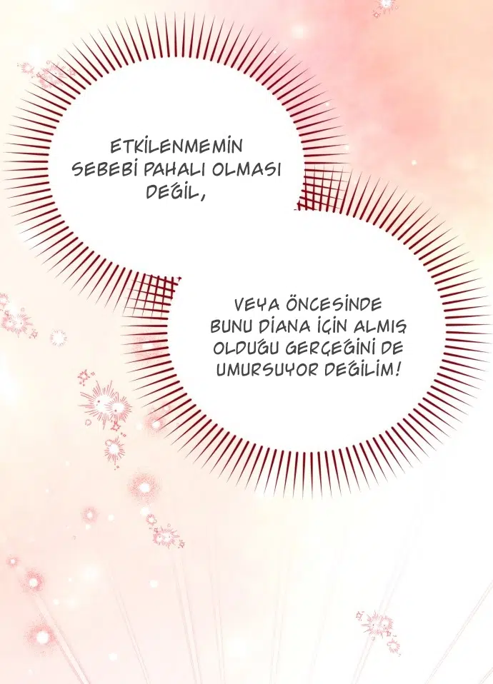 Sahipsiz Gözdem - Bölüm 15 Sayfa 29